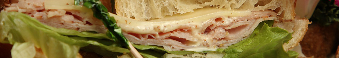 Eating Sandwich Cafe at Hamilton Street Cafe restaurant in Albany, NY.